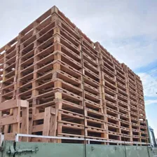 چوب بری و پالت سازی مجتبی صادقی