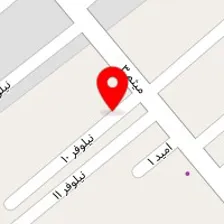 تکوین الکتریک