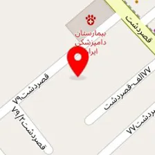 نصب آسانسور شیراز - پله برقی شیراز-پدیده شهر حافظ