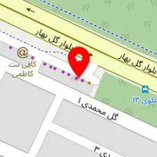 دوربین مرکزی