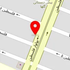 خدمات برق و تلفن فلسطین