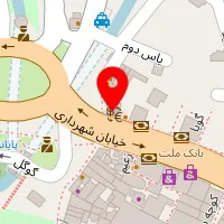 دکتر سعید بهزادی