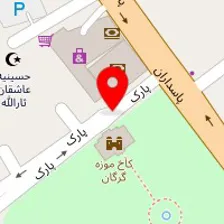 ترامپولین تقی پور