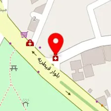 دکتر شیده اسلامی