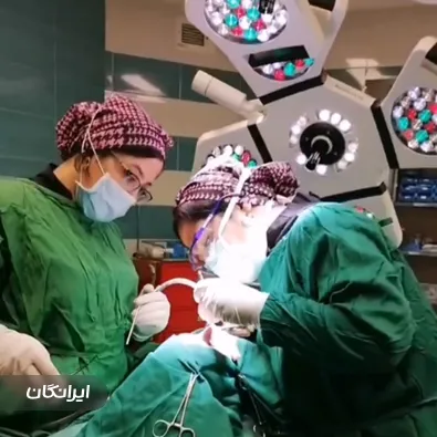 دکتر نرگس ناصری