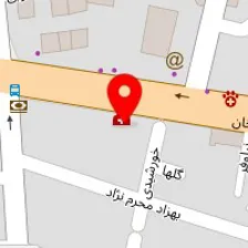 دکتر شهباز هاشم بیک