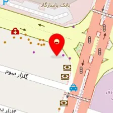 دکتر مینا خواجه علی