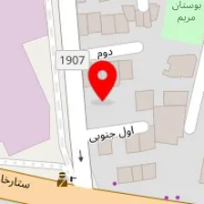 دکتر نیما معینی