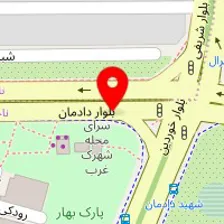 سالن کاشت ناخن حدیث عزتی