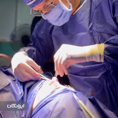 دکتر محمدعلی شهاب الدین