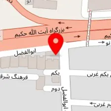 دکتر نوشین امین زاده