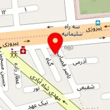 دکتر ناصر رزمی نیا