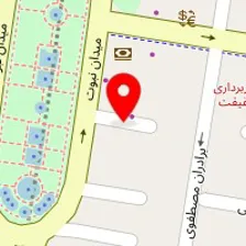 دکتر مصطفی مافی