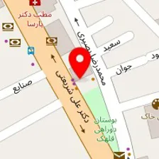 دکتر فائزه مددی