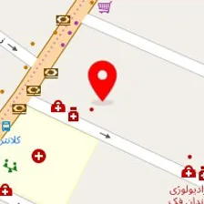 دکتر رضا سیدحسینی