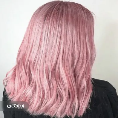 هیرکالریست سارا گودرزی