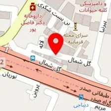 سالن خدمات ناخن الی