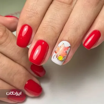 سالن کاشت ناخن مهسا فام