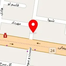 دکتر محمدرضا عباسی