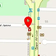 دکتر رویا امیرصدری