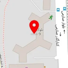 دکتر طاهره مخلص پور