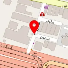 کلینیک زیبایی الیسا