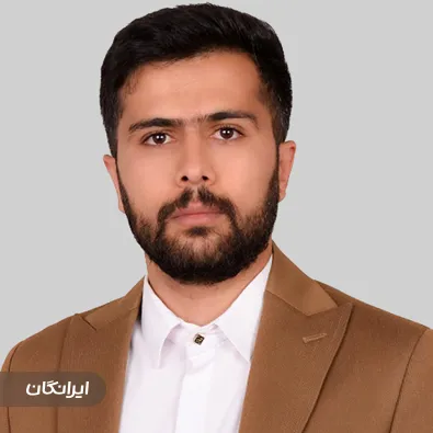 وکیل مهدی پیامنی