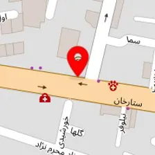 سالن زیبایی گل اطلسی