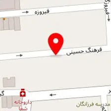 دکتر نفیسه شهیدی