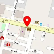 دکتر فلور موسوی