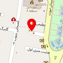 دکتر مهدی ملکی