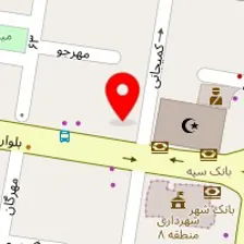 دکتر محمود زینالی