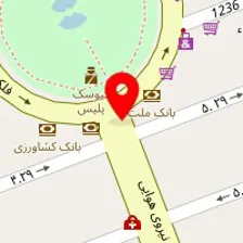 دکتر محمدعلی چیت ساز