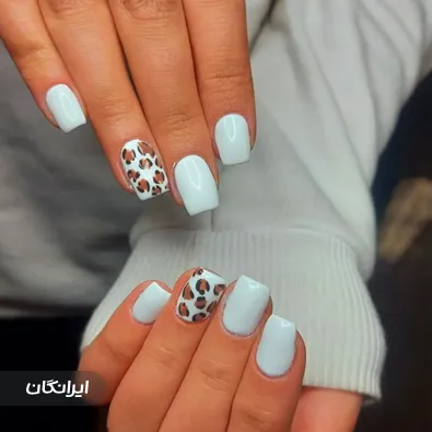 نیل آرتیست مارال شاه پروری