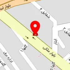 دکتر زیبا پورشهابی