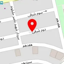 دکتر شباهنگ خاموشی