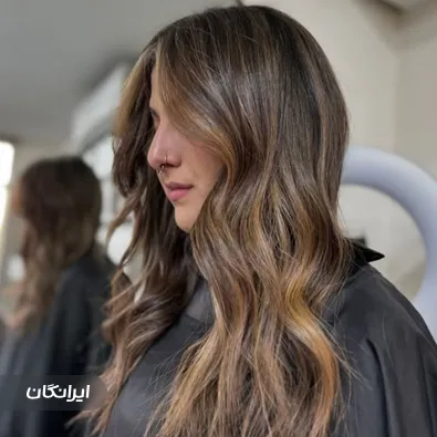 هیرکالریست ژیلا امیدی