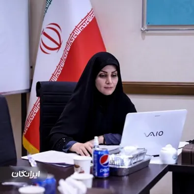 وکیل مائده چینی ساز