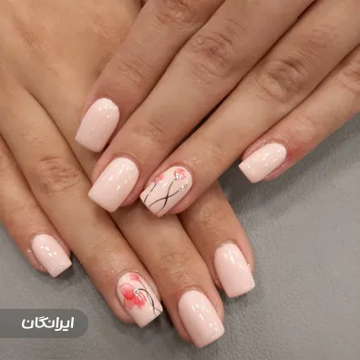 نیل آرتیست فرزانه امیدی