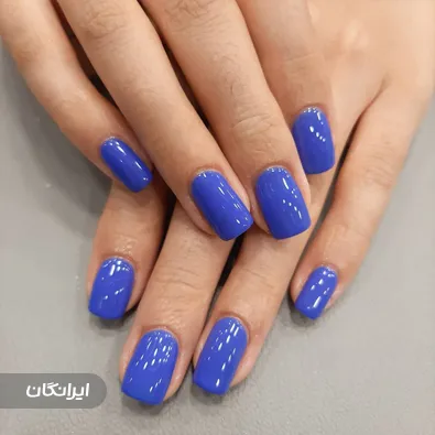 نیل آرتیست فرزانه امیدی