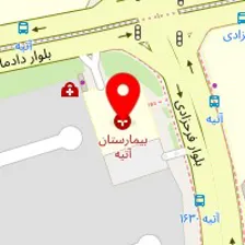 دکتر مهدی علوی