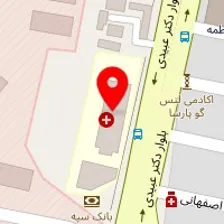 دکتر اسمعیل پورعباس