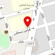 دکتر ثمانه ایلکا