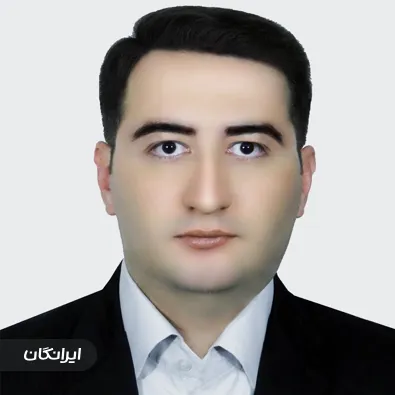 وکیل شاهین حسامی