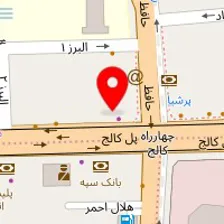 دکتر بیژن امیر گودرزی