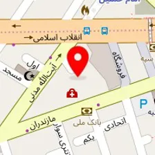 دکتر محمد رشیدی