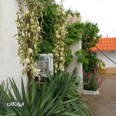 کمپ ترک اعتیاد نسیم هوشیاری امید