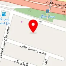 سم زدایی و ترک اعتیاد پونک