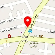 دکتر منصوره پورکارپژوه