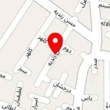 دکتر مجید رضائی